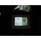 Cellular Therapy Presentation